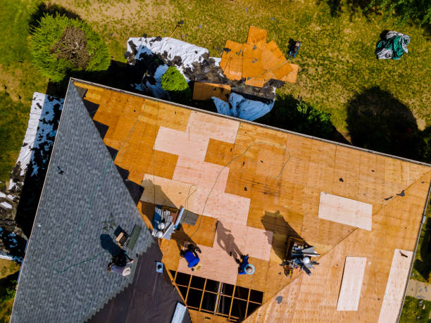 Best Roof Maintenance Services  in Hitchcock, TX