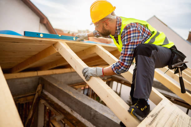 Best Roof Gutter Cleaning  in Hitchcock, TX