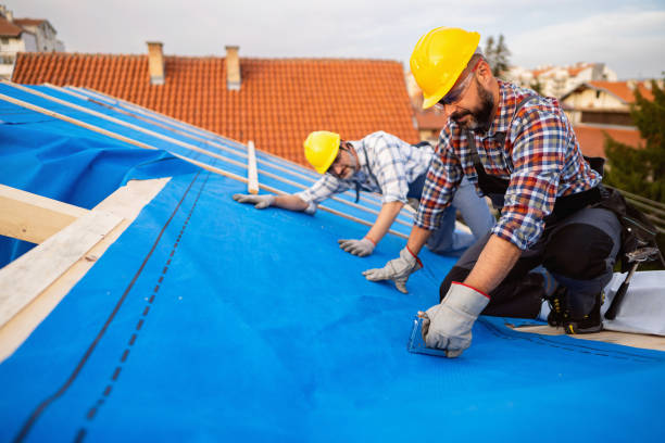 Best Storm Damage Roof Repair  in Hitchcock, TX