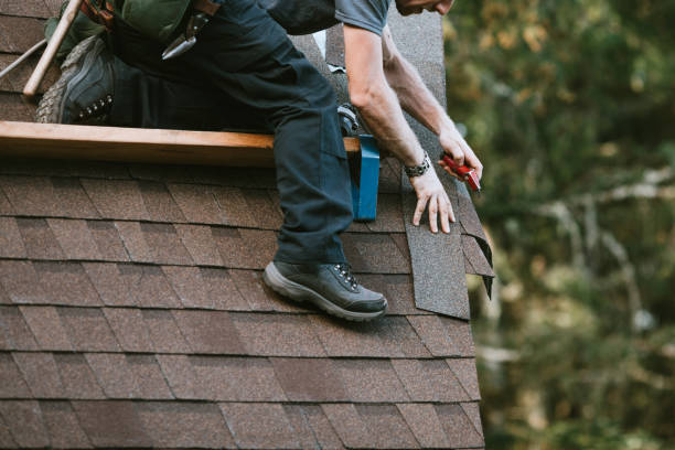 Best Local Roofing Companies  in Hitchcock, TX